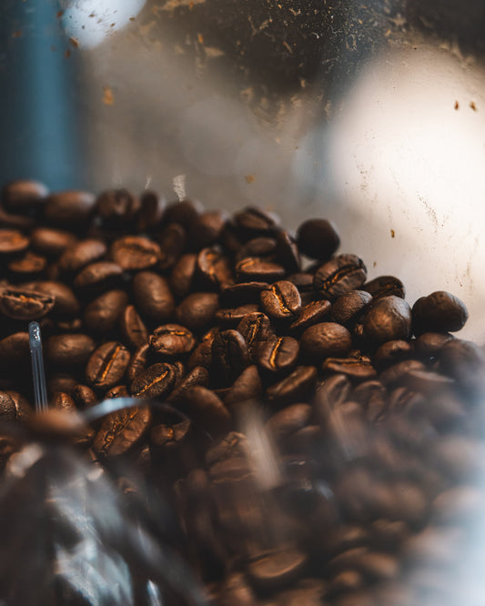 PUPPY 今月のスペシャリティコーヒー